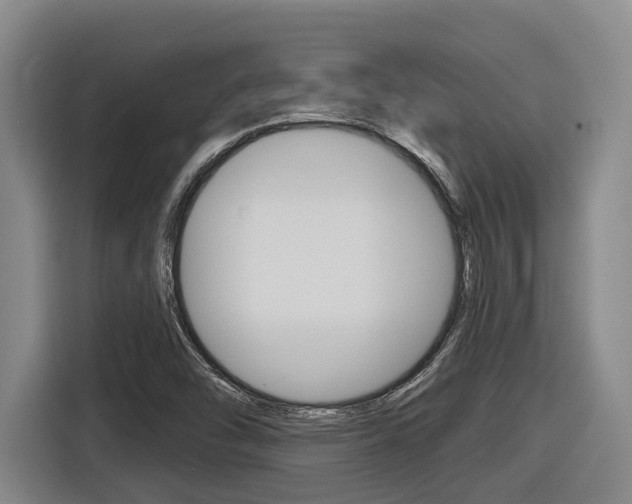 X0000116571454200912100954