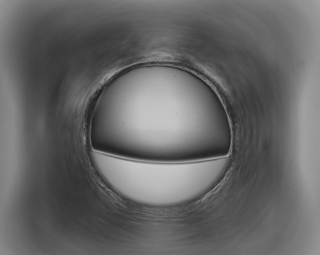 X0000116571455200912100954