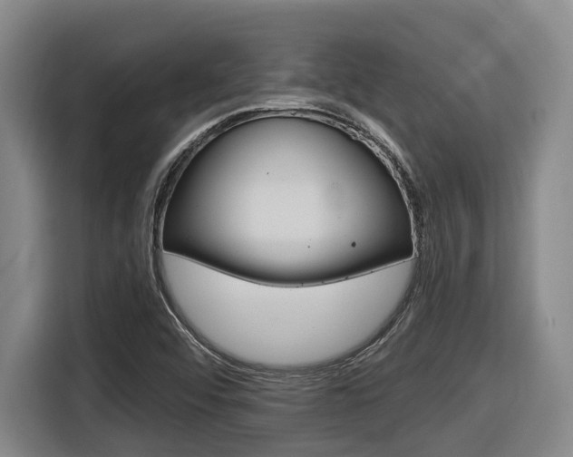 X0000116571456200912100954