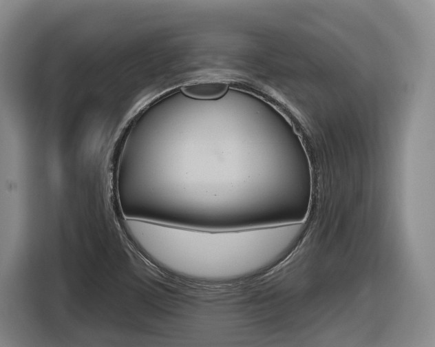 X0000116571459200912100954
