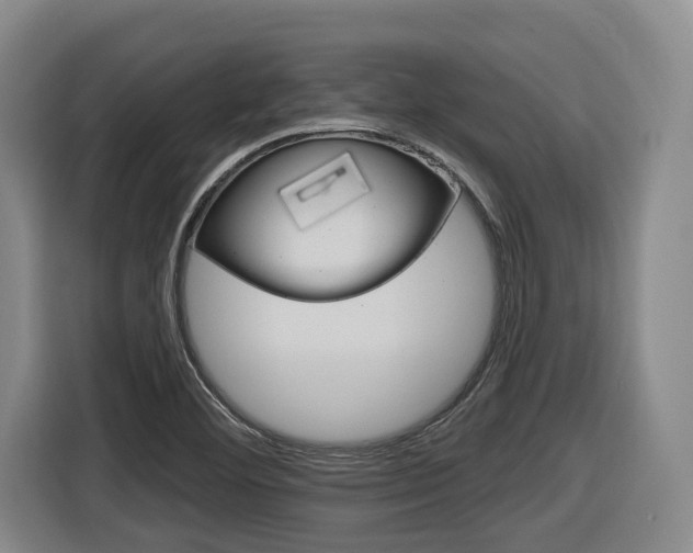 X0000116571460200912100954