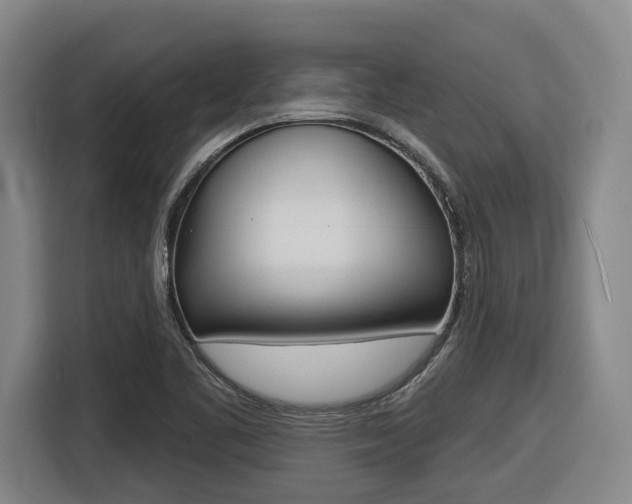 X0000116571461200912100954