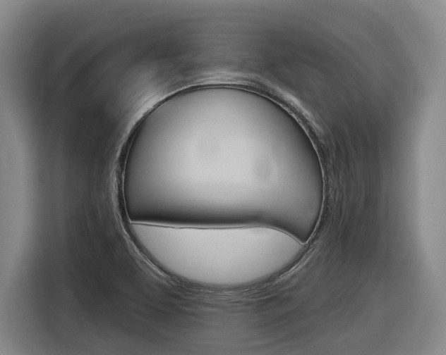 X0000116571463200912100954