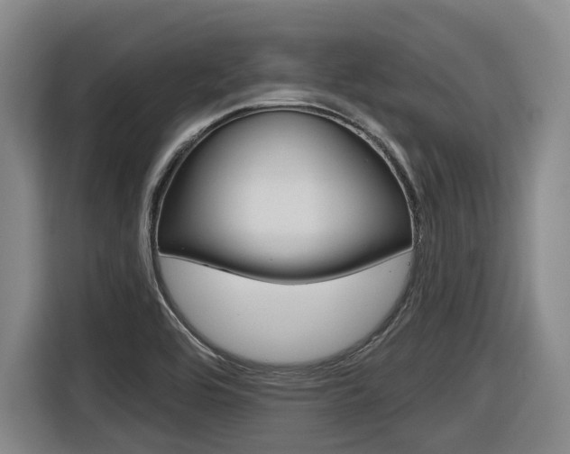 X0000116571464200912100954