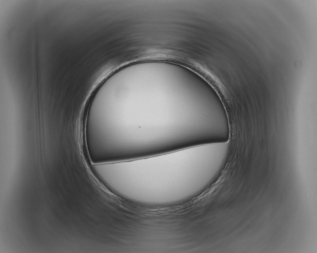 X0000116571467200912100953