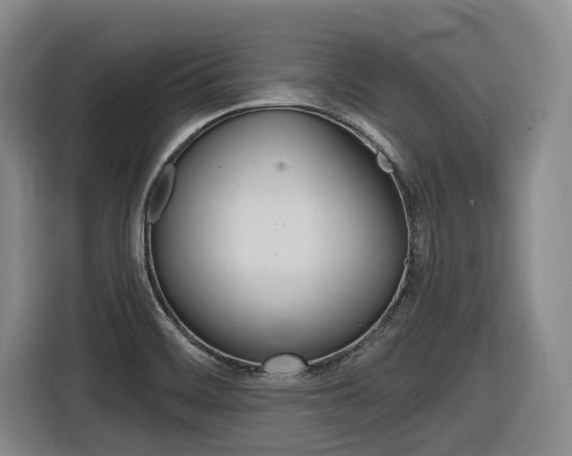 X0000116571468200912100953