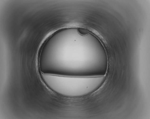 X0000116571469200912100953