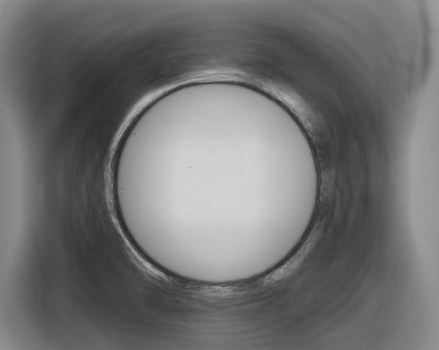 X0000116571470200912100953