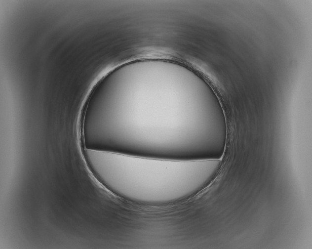 X0000116571471200912100953