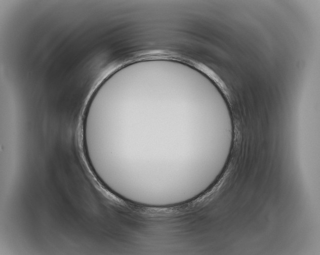 X0000116571474200912100953