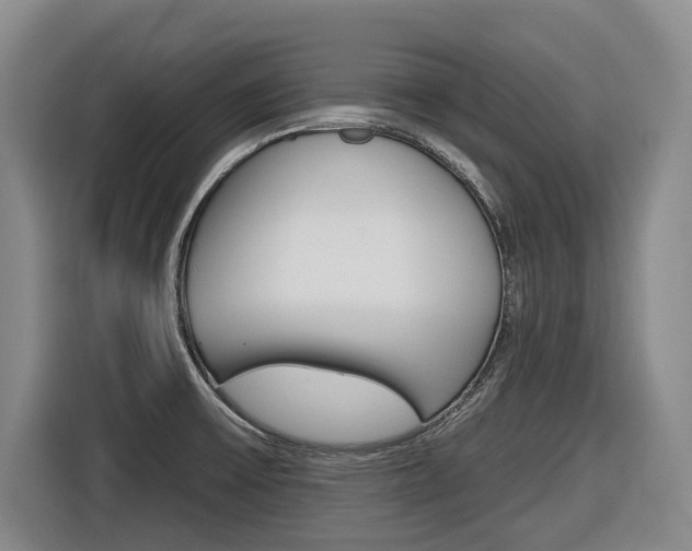 X0000116571475200912100953