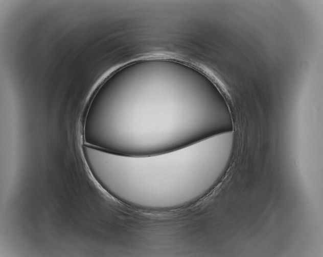 X0000116571476200912100953