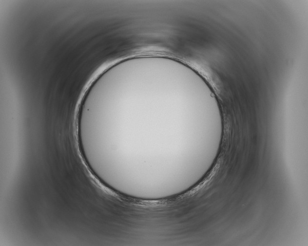 X0000116571478200912100953