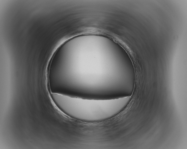 X0000116571479200912100953