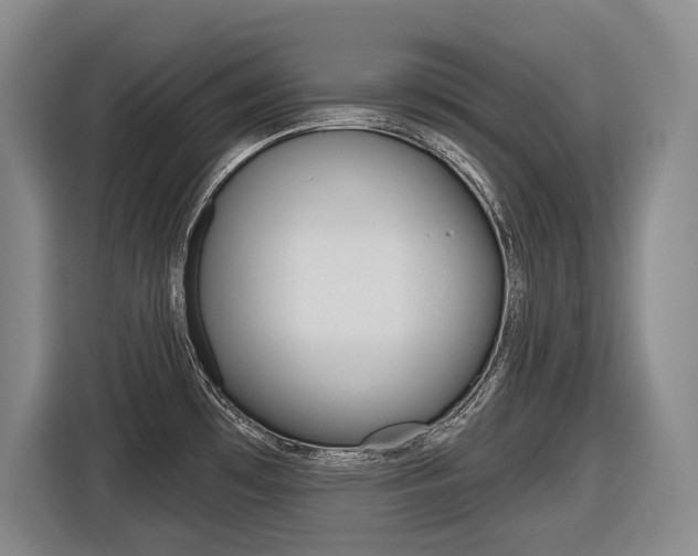 X0000116571481200912100953
