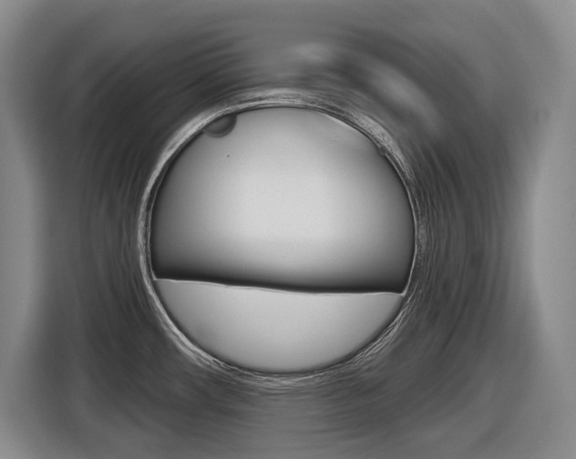 X0000116571482200912100953