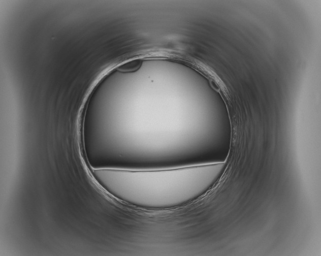 X0000116571483200912100953