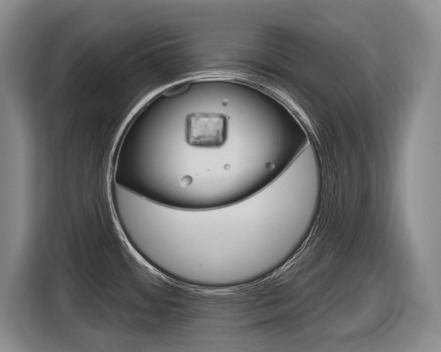 X0000116571484200912100953