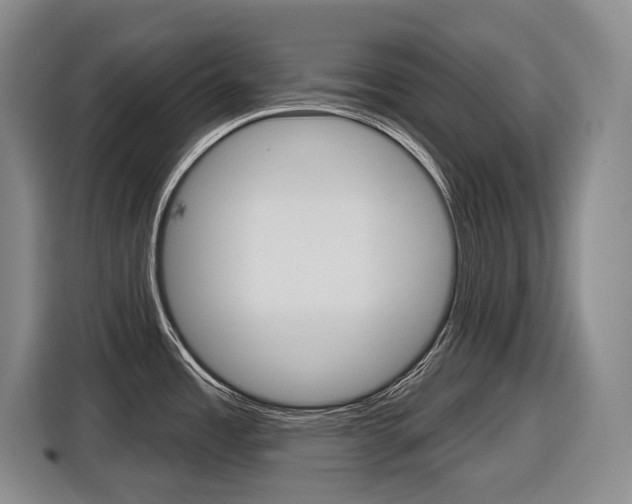 X0000116571485200912100953