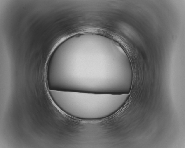 X0000116571487200912100953