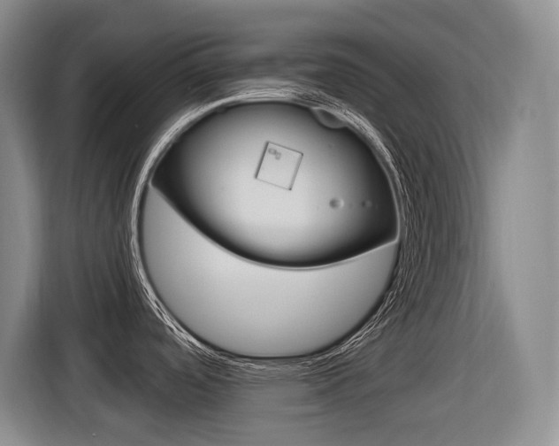 X0000116571488200912100953