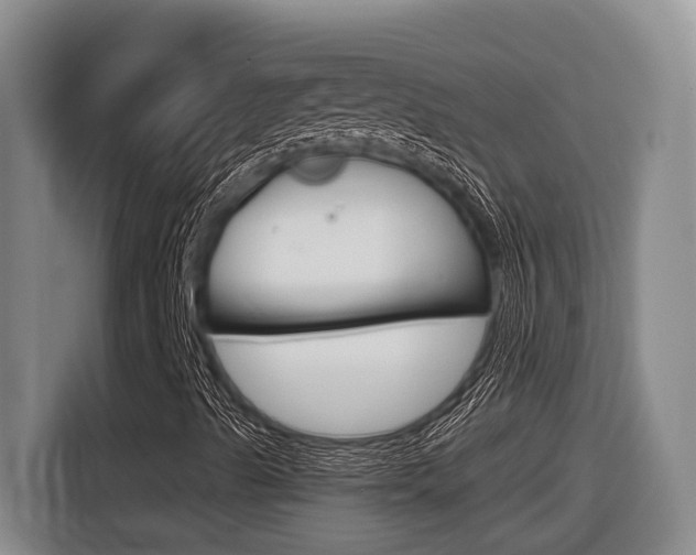 X0000116571489200912100953