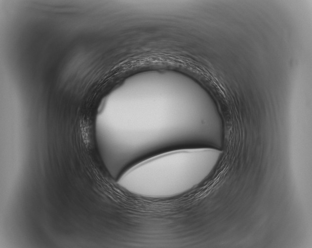X0000116571490200912100953