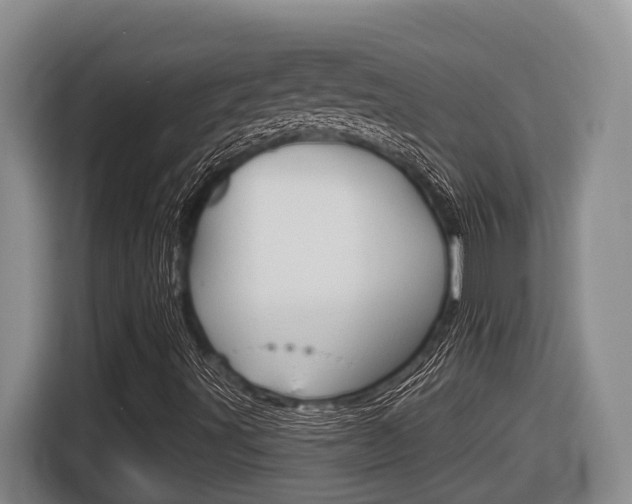 X0000116571491200912100953