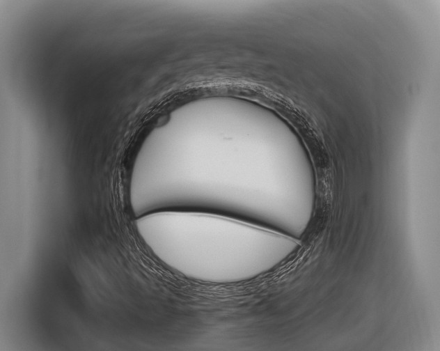 X0000116571493200912100953