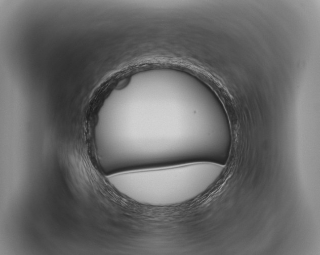 X0000116571494200912100953