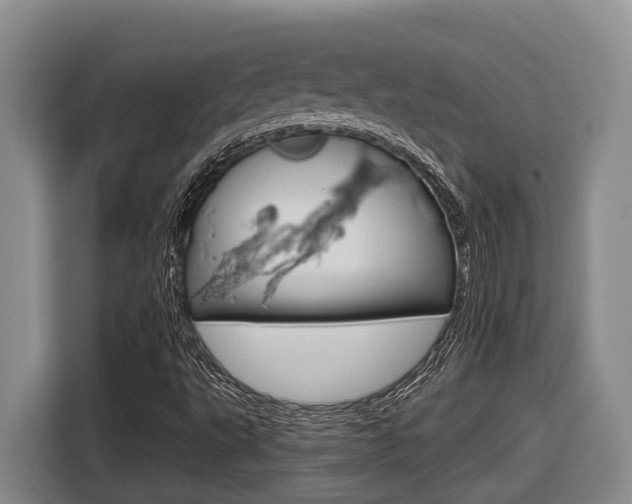 X0000116571495200912100953