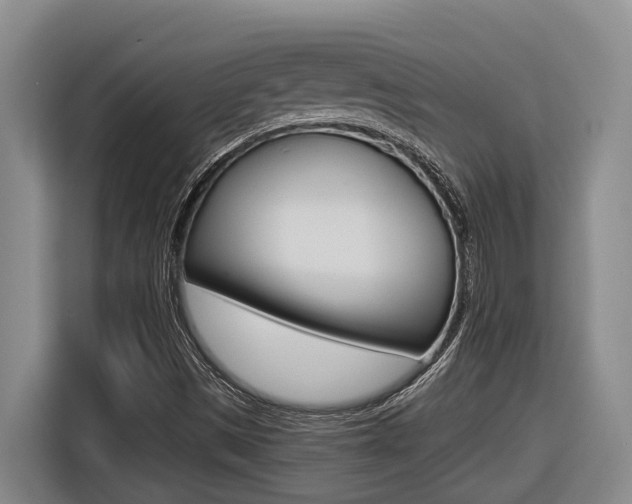 X0000116571497200912100953