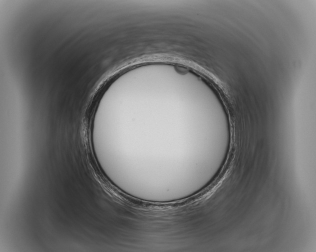 X0000116571498200912100953