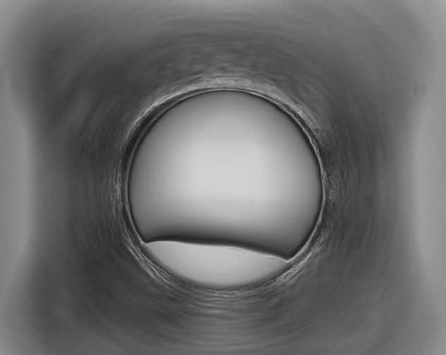 X0000116571499200912100953