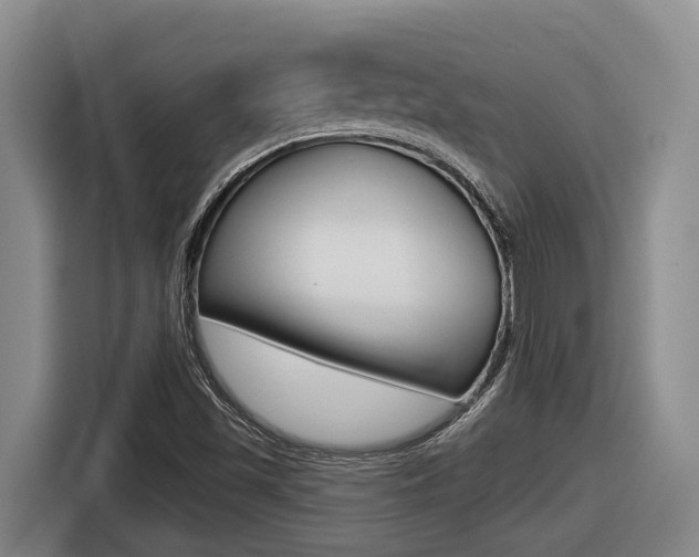 X0000116571501200912100953