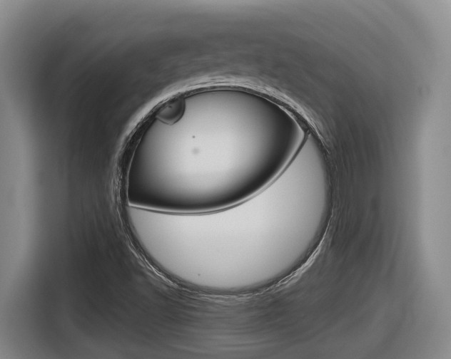 X0000116571502200912100953
