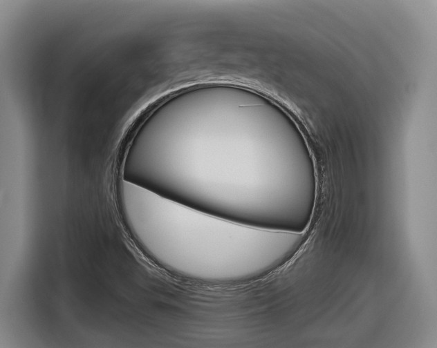 X0000116571503200912100953