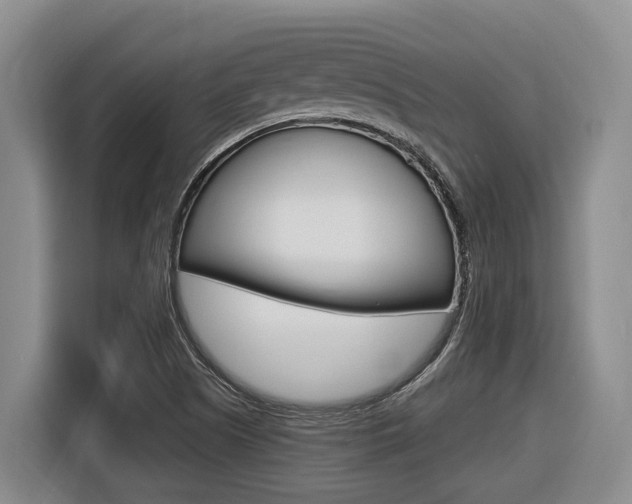X0000116571505200912100953