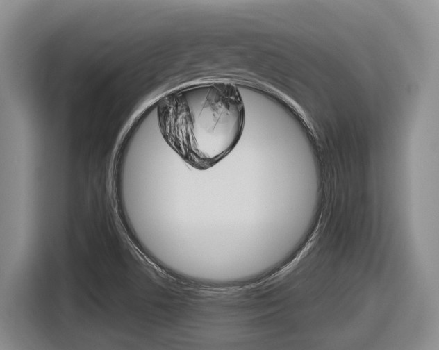 X0000116571506200912100953