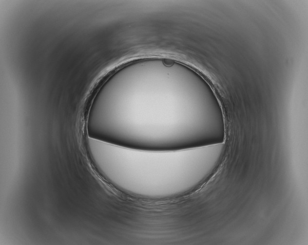 X0000116571507200912100953