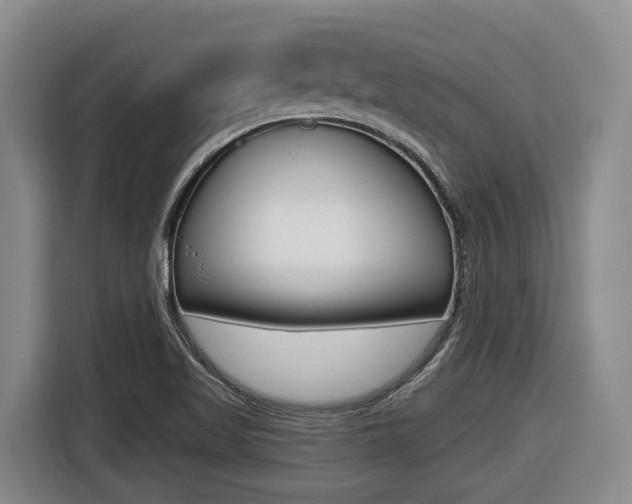 X0000116571509200912100953