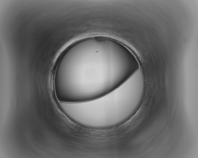 X0000116571510200912100953
