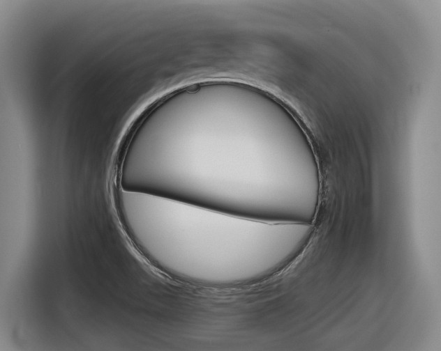 X0000116571511200912100953