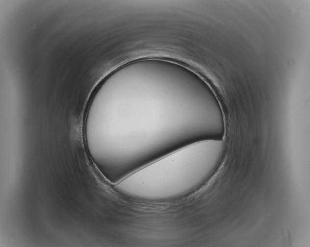 X0000116571513200912100953