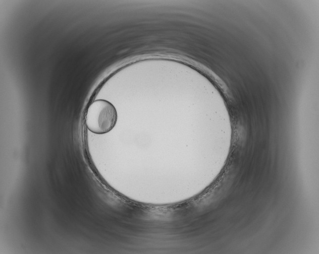 X0000116571514200912100953