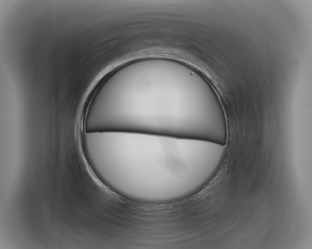X0000116571515200912100953