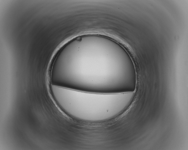 X0000116571517200912100953