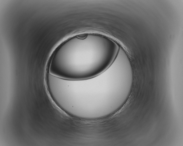 X0000116571518200912100953