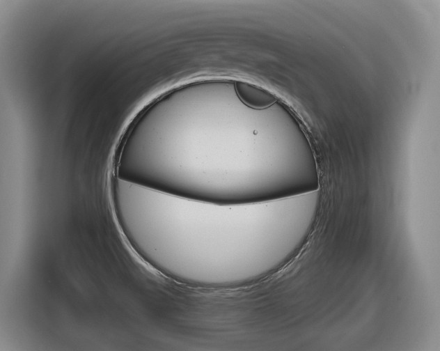 X0000116571519200912100953
