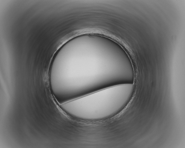 X0000116571521200912100953